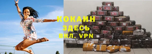 стафф Алзамай