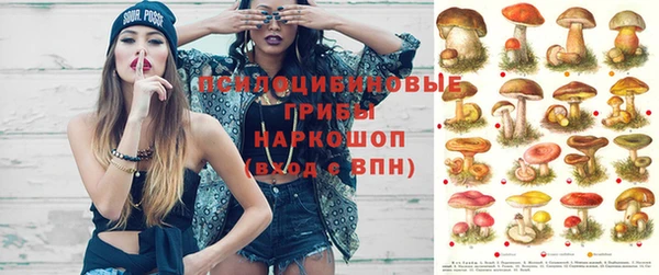 стафф Алзамай