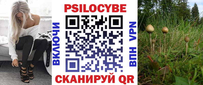 наркошоп  Микунь  OMG рабочий сайт  shop формула  Псилоцибиновые грибы Psilocybe 